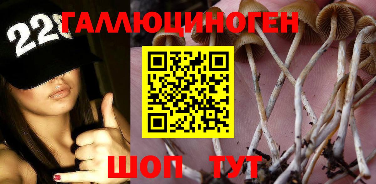 цены   Псилоцибиновые грибы прущие грибы  Вход с VPN  Десногорск 